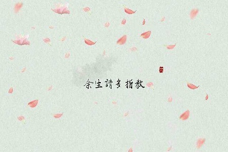 《余生请多指教》官宣,肖战杨紫“未知CP”强烈来袭