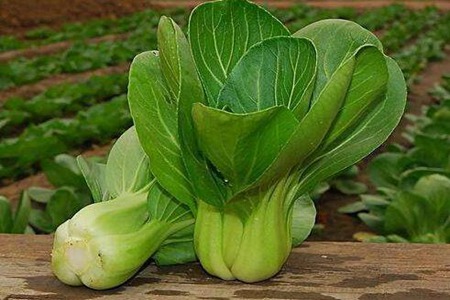 油菜的功效与作用,这五个女人吃油菜的营养功效