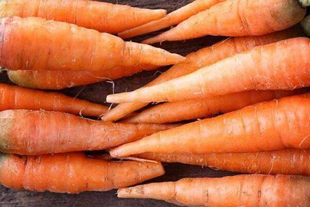 虾不能和什么一起吃?这五种虾相克食物及禁忌