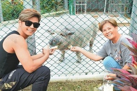 没有王源养不胖的宠物,明星们爱宠会是怎么样