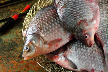 大寒肾虚脾胃不和?饮食就要增咸减甘