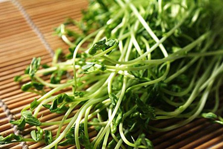 豆苗的营养价值和功效,这五个女人吃豆苗养生益处