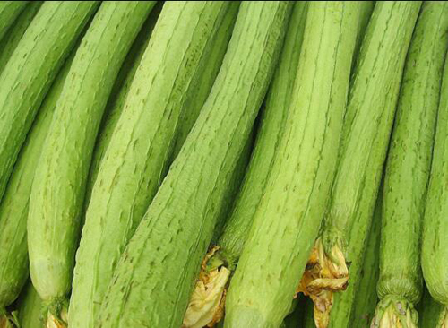 丝瓜的做法大全家常