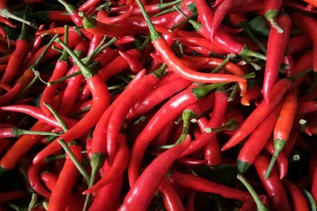 小米椒的功效与作用，这五个小米椒的营养价值