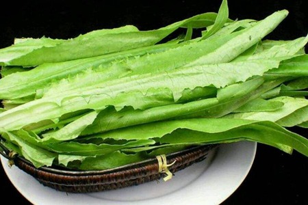 油麦菜的功效与作用，这五个女人吃油麦菜的好处