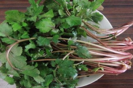 珍珠菜的功效和作用,这四个女人吃珍珠菜的药用价值