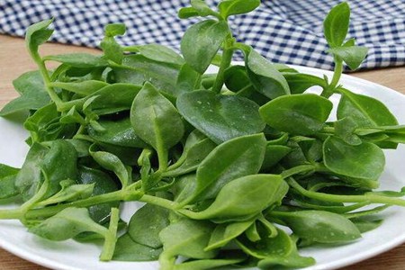 秋季吃什么养生最好?这五个秋季食物滋阴润肺有疗效