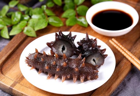 海参的营养价值和功效和禁忌 四道海参菜谱做法大全