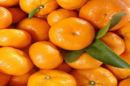 蜜桔的功效与作用,这五个女人吃蜜桔的营养功效