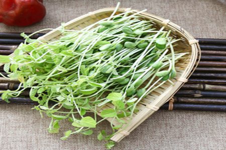 豆苗的营养价值和功效,这五个女人吃豆苗养生益处