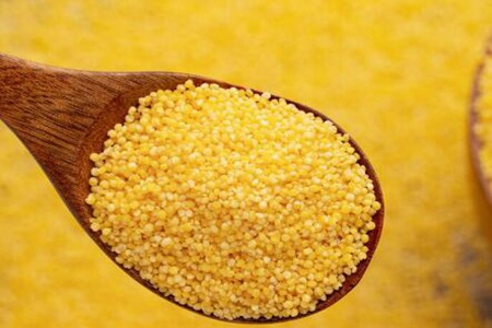 养胃吃什么食物最好?这四个食物营养健康护胃