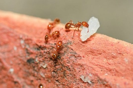 五行针灸治疗办法,可治疗女性3478种疾病