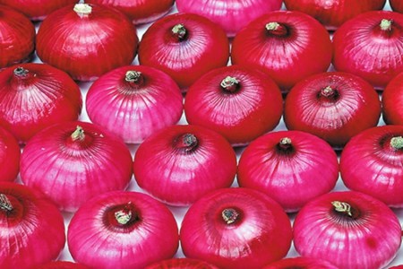 洋葱怎么切不辣眼睛?多吃洋葱既然有这些好处