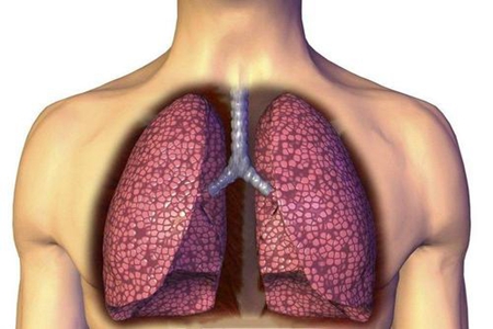 男性肺部健不健康,这3个表现症状说明肺部很健康