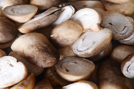 草菇的功效与作用,这五个草菇的营养价值及功效