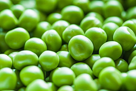 青豆的功效与作用,这四个女人吃青豆的营养价值