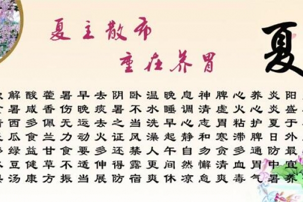 长夏养阳补肾气之道