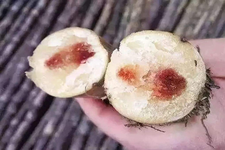 甘蔗的功效与作用,这六个甘蔗营养价值功效