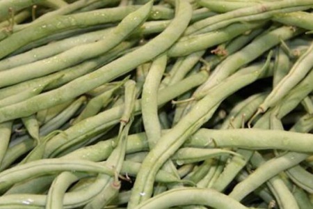 四季豆的功效与作用,这五个女人吃四季豆的好处与功效