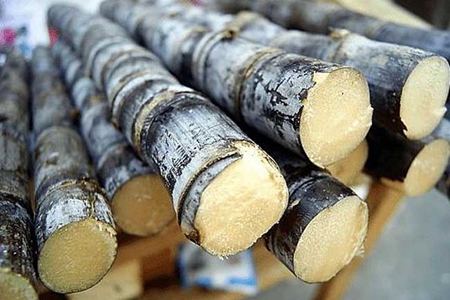 女性补气血食物排行榜,通过食补调理好气色