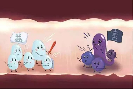 益生菌对女人有什么好处?益生菌的作用详情介绍!