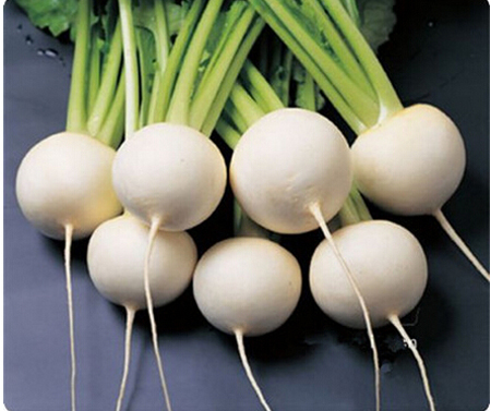 生吃熟食白萝卜