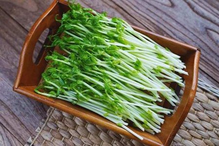 豆苗的营养价值和功效，这五个女人吃豆苗养生益处