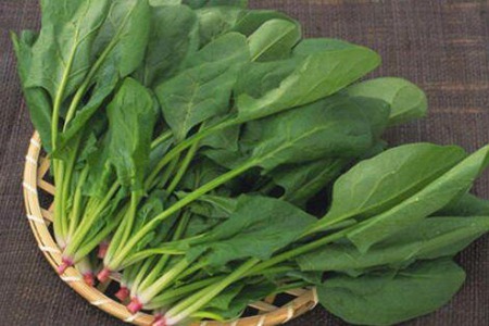 菠菜的营养价值和功效，这五个女人吃菠菜的功效