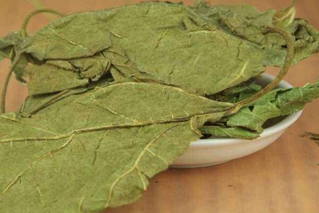 桑叶茶的功效与作用,这五个女人喝桑叶茶的好处