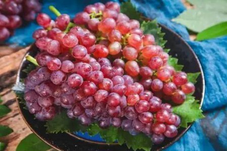 养肺补肺吃什么东西比较好?这四个食物能呵护肺部健康