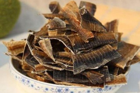 地龙的功效与作用，这五个地龙的药用价值与功效