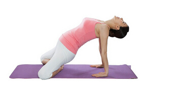 瑜伽动作图片大全