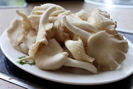 蘑菇的功效与作用，这五个蘑菇的种类食物营养功效