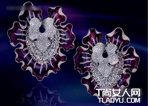 点击图片查看下一页