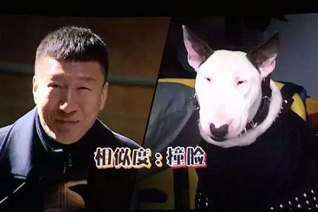 黄磊CUE孙红雷牛头梗,颜王孙红雷:“我不要面子嘛?”