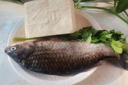 鲫鱼豆腐汤怎么做好吃,鲫鱼豆腐汤的做法窍门