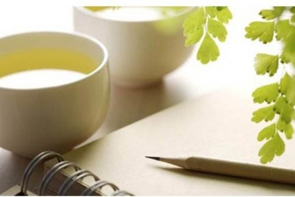 长夏养阳补肾气之道