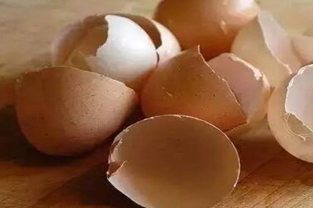 鸡蛋壳的功效与作用，这四个鸡蛋壳营养价值