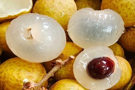 有胃病的人吃什么最养胃？这五种食物帮你养好胃