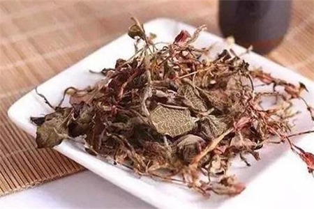 金钱草的功效与作用,这四个金钱草泡水喝的功效