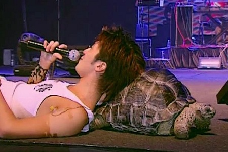 没有王源养不胖的宠物,明星们爱宠会是怎么样