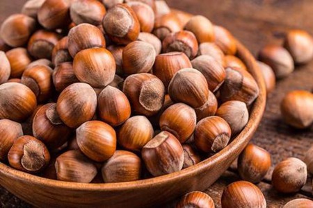 榛子的功效与作用,四个女人吃榛子的营养价值