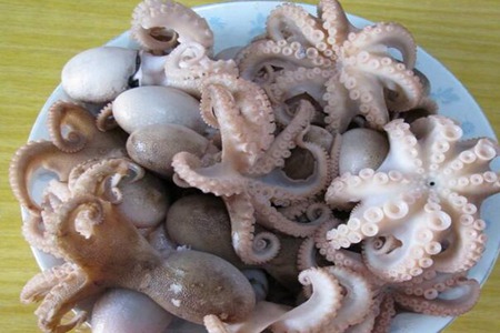 章鱼的功效与作用,这五个女人吃章鱼的好处