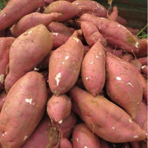 健康的早餐，一天活力充实