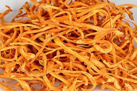 虫草花的功效与作用,这五个女人吃虫草花的营养价值