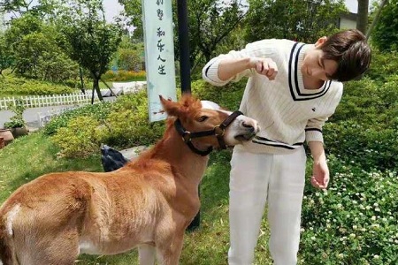 《各位游客请注意》陈学冬双商在线,狂夸baby获666大红包