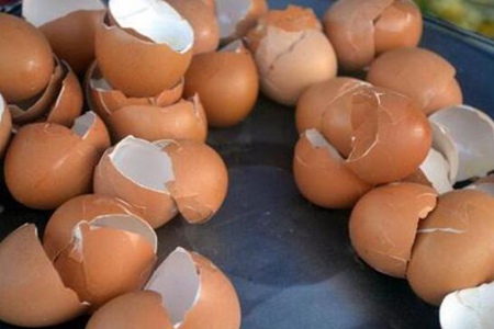 鸡蛋壳的功效与作用，这四个鸡蛋壳营养价值