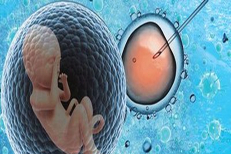 影响卵子质量的因素有哪些?了解女性保健知识拥有完美人生