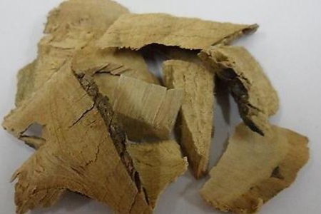 毛冬青的功效与作用,这五个女人喝毛冬青的药用价值