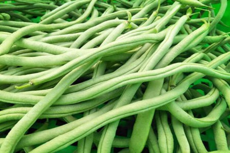四季豆的功效与作用,这五个女人吃四季豆的好处与功效